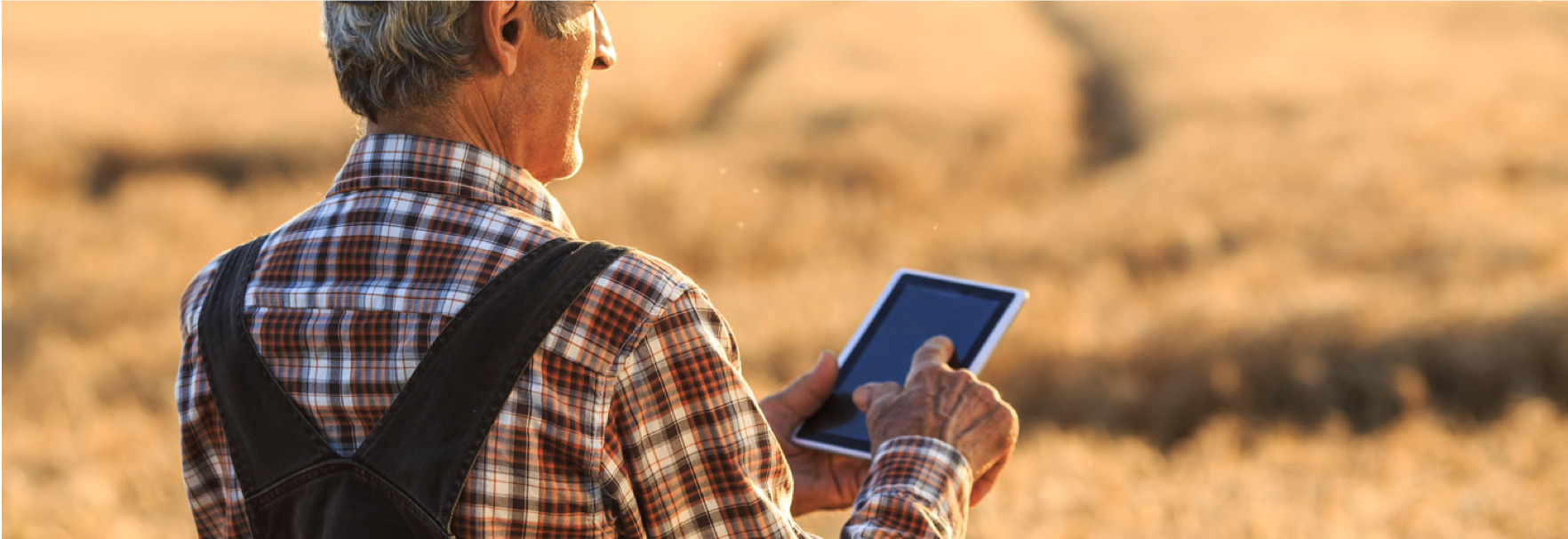 Man on field on tablet