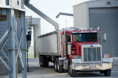 Grain truck