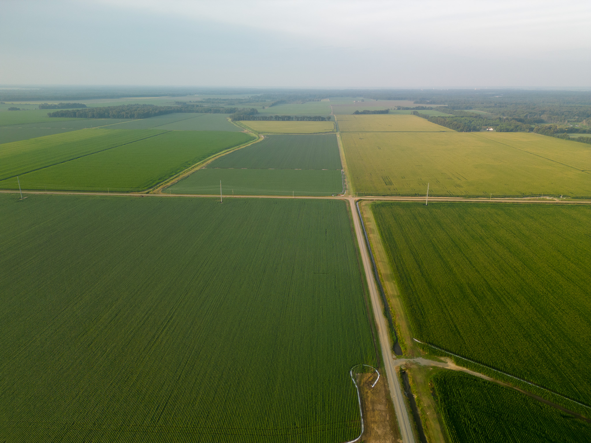 field