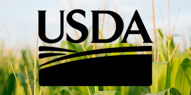 USDA logo on corn background 